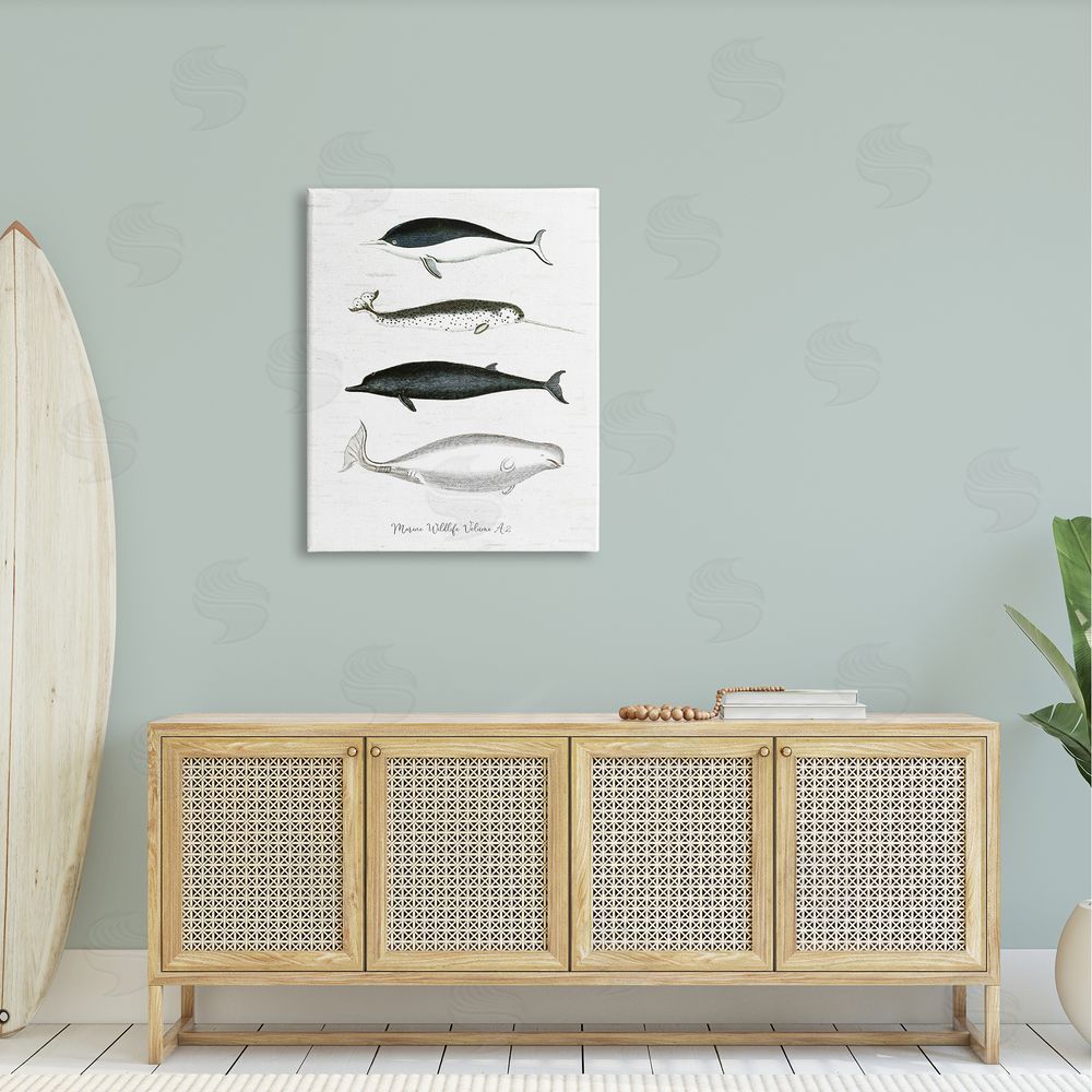 Lettered and Lined Nautical Sea Life Whales Narwhal Marine Drawings  Canvas Wall Art Print in Room