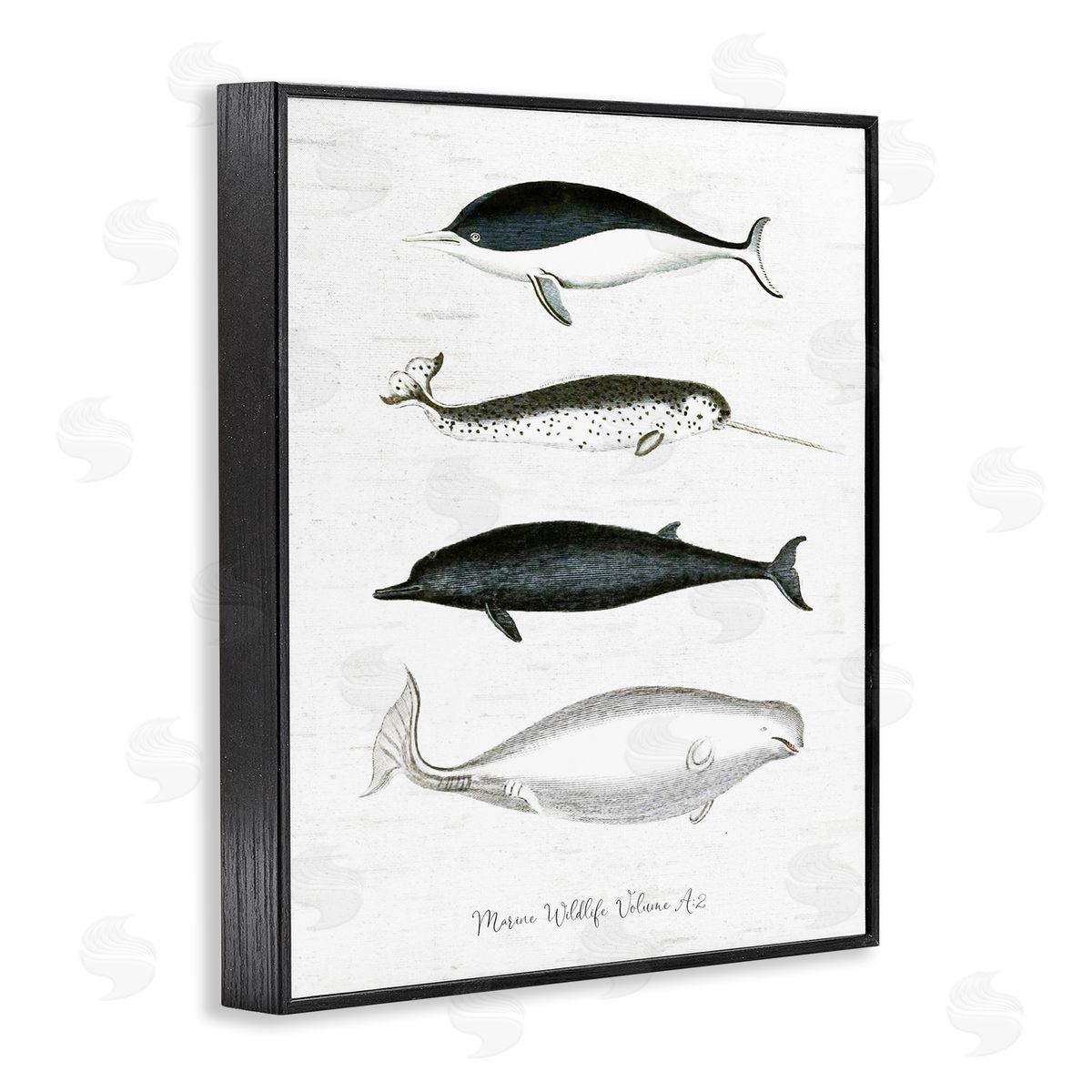 Lettered and Lined Nautical Sea Life Whales Narwhal Marine Drawings  Black Framed Giclee Wall Art Print