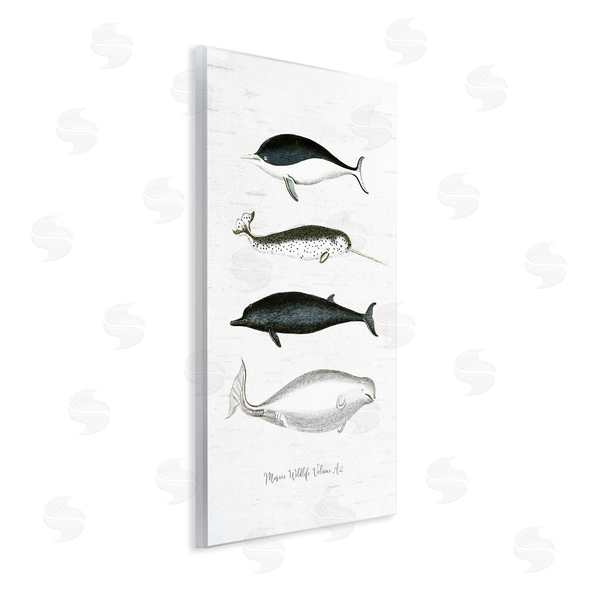 Lettered and Lined Nautical Sea Life Whales Narwhal Marine Drawings  Wall Plaque Art Print