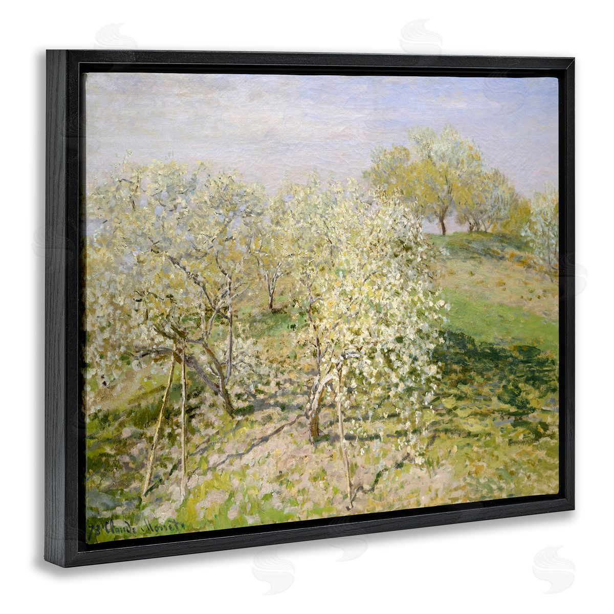 Lettered and Lined White Blossom Tree Orchard Field Impressionist Brushstrokes Black Floating Frame Canvas Wall Art Print