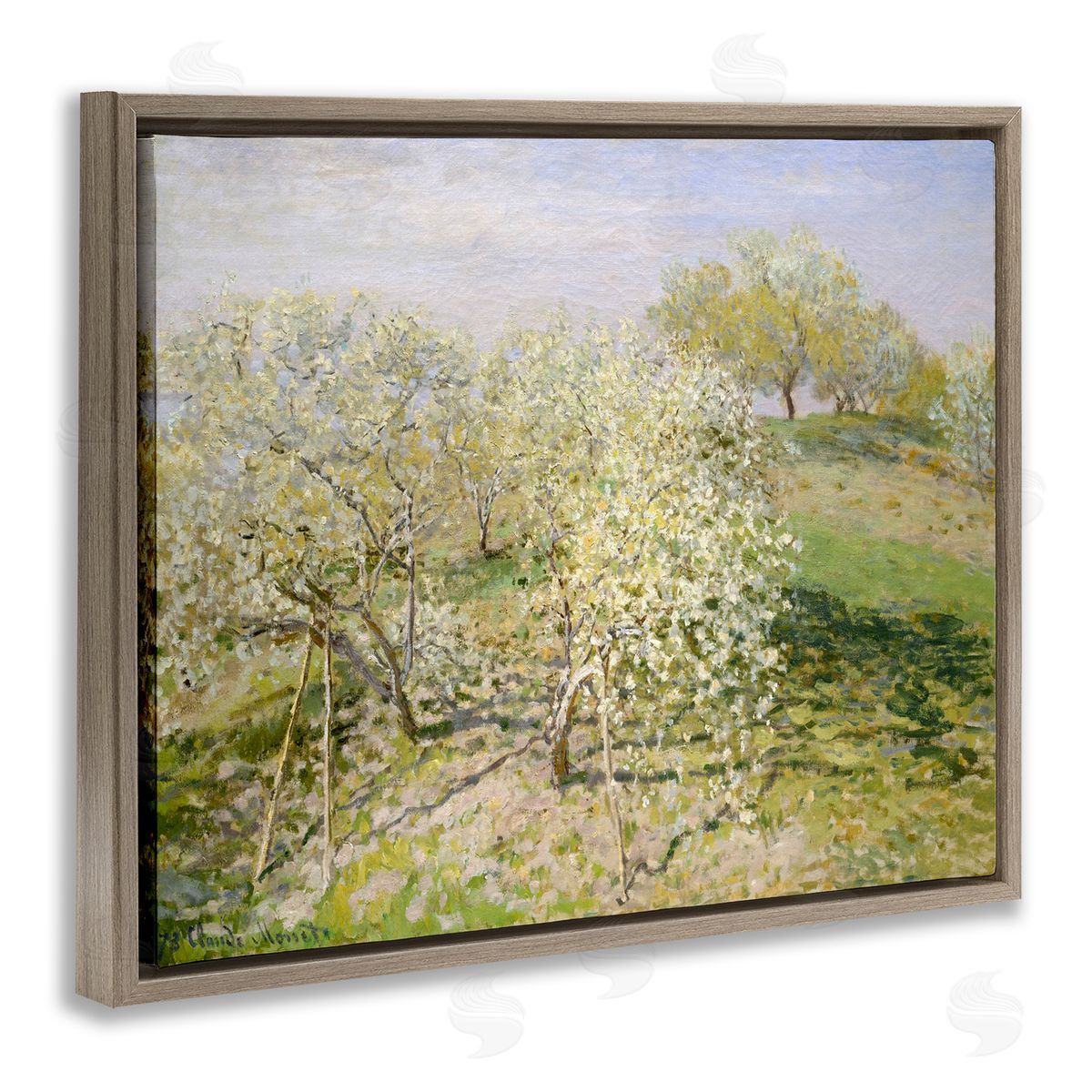 Lettered and Lined White Blossom Tree Orchard Field Impressionist Brushstrokes Brown Floating Frame Canvas Wall Art Print