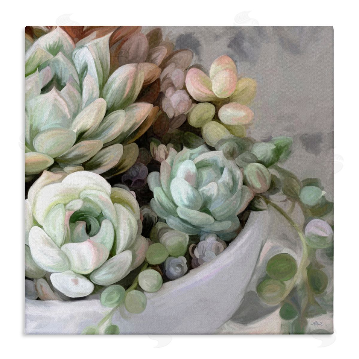 Amy Hall Botanical Succulent Arrangement Potted Floral Blossoms  Stretched Canvas Wall Art Print
