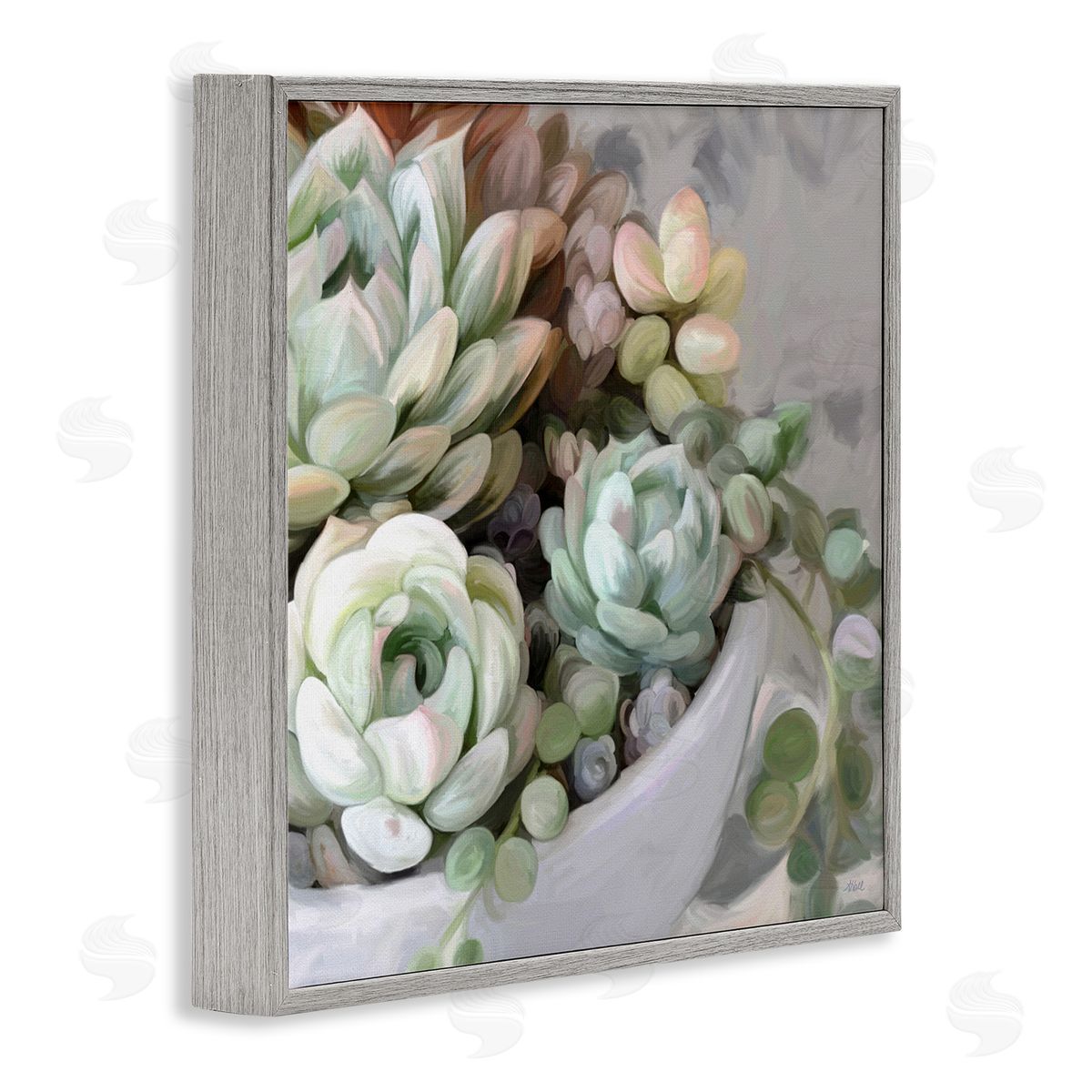 Amy Hall Botanical Succulent Arrangement Potted Floral Blossoms  Gray Framed Glicee Wall Art Print