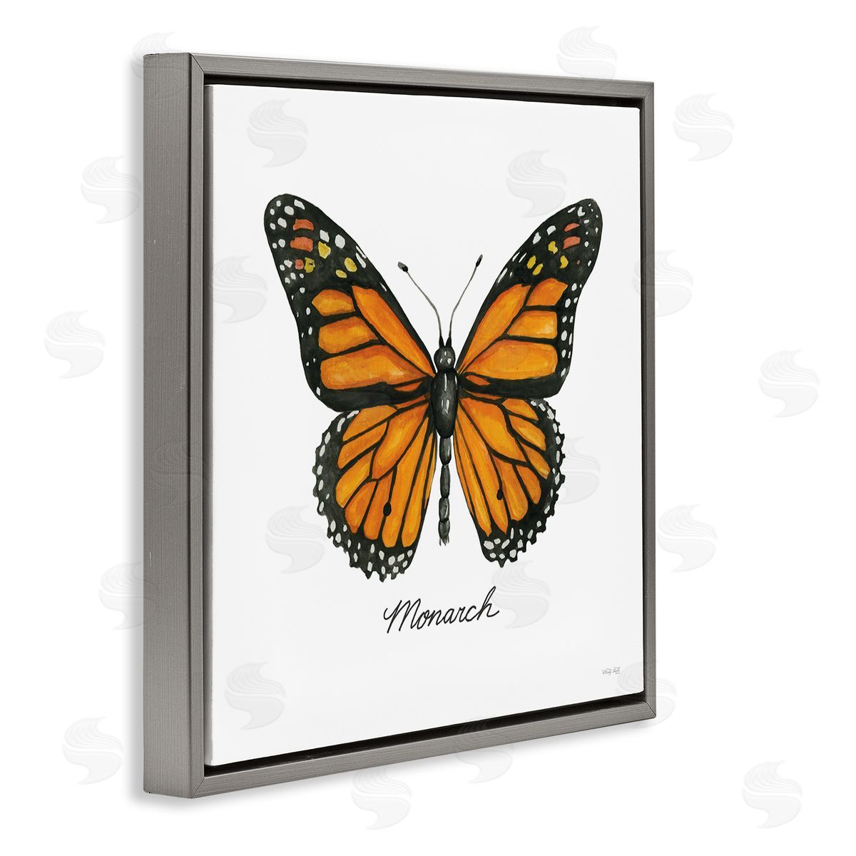 Cindy Jacobs Monarch Butterfly Casual Insect Wildlife Design Gray Floating Frame Canvas Wall Art Print
