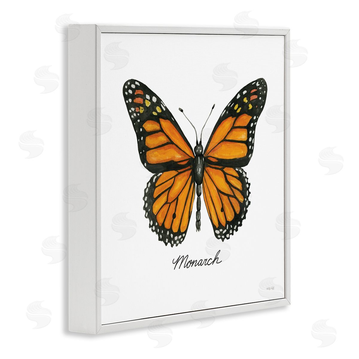 Cindy Jacobs Monarch Butterfly Casual Insect Wildlife Design White Framed Glicee Wall Art Print