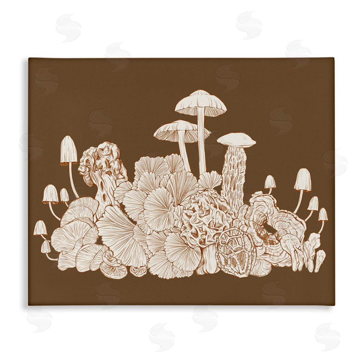 Ziwei Li Detailed  Mushrooms Cottage Neutrals Wildlife Plants Stretched Canvas Wall Art Print