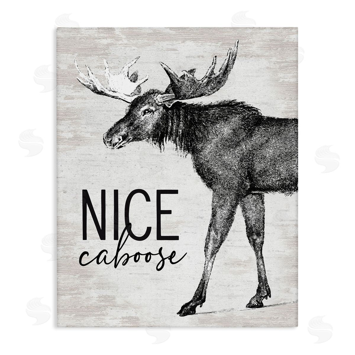 Lettered and Lined Nice Caboose Lake House Bathroom Humor Moose  Stretched Canvas Wall Art Print