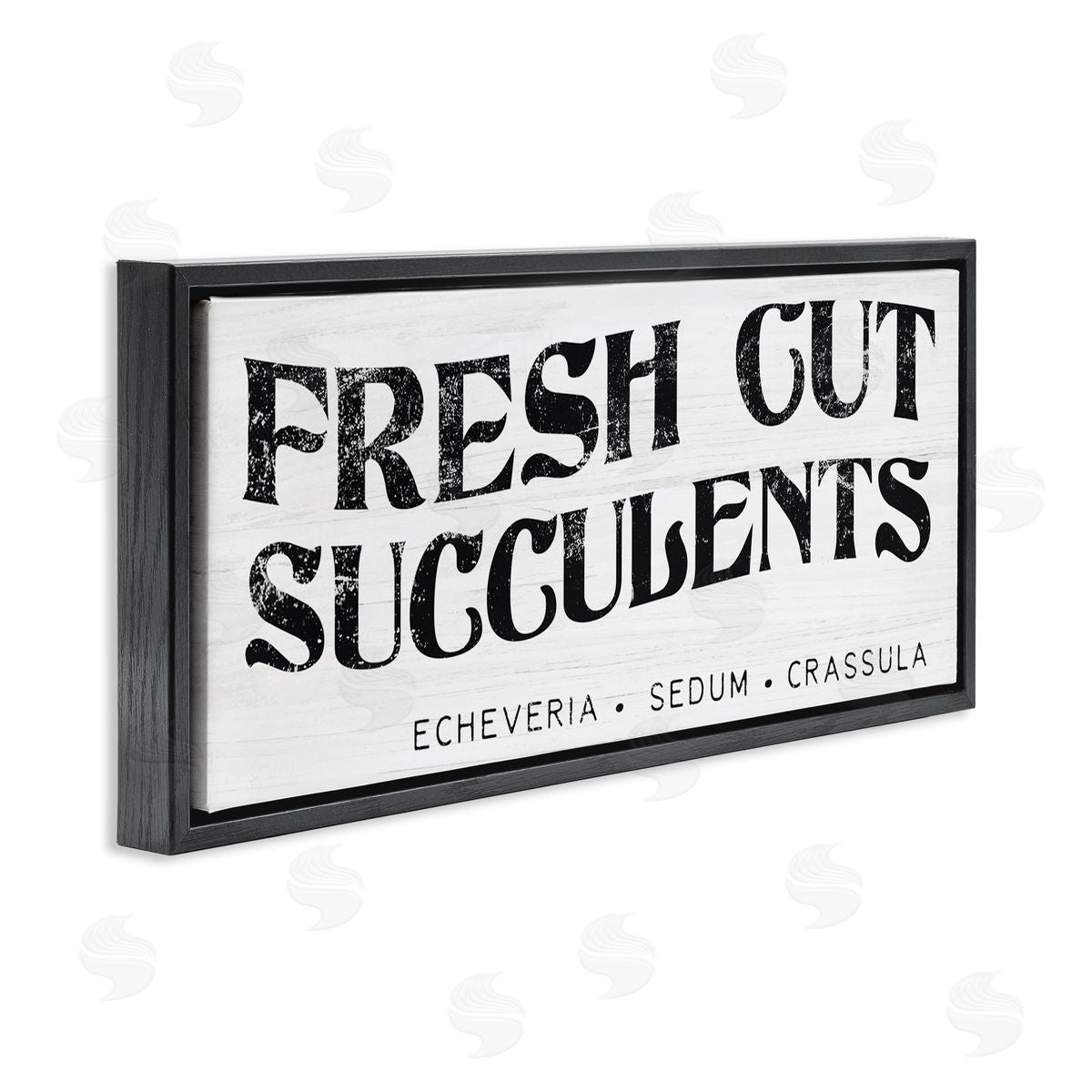 Stupell Studio fr_sideesh Cut Succulents Antique Style Grainy Sign 