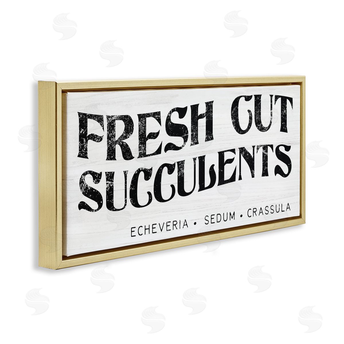 Stupell Studio fr_sideesh Cut Succulents Antique Style Grainy Sign 