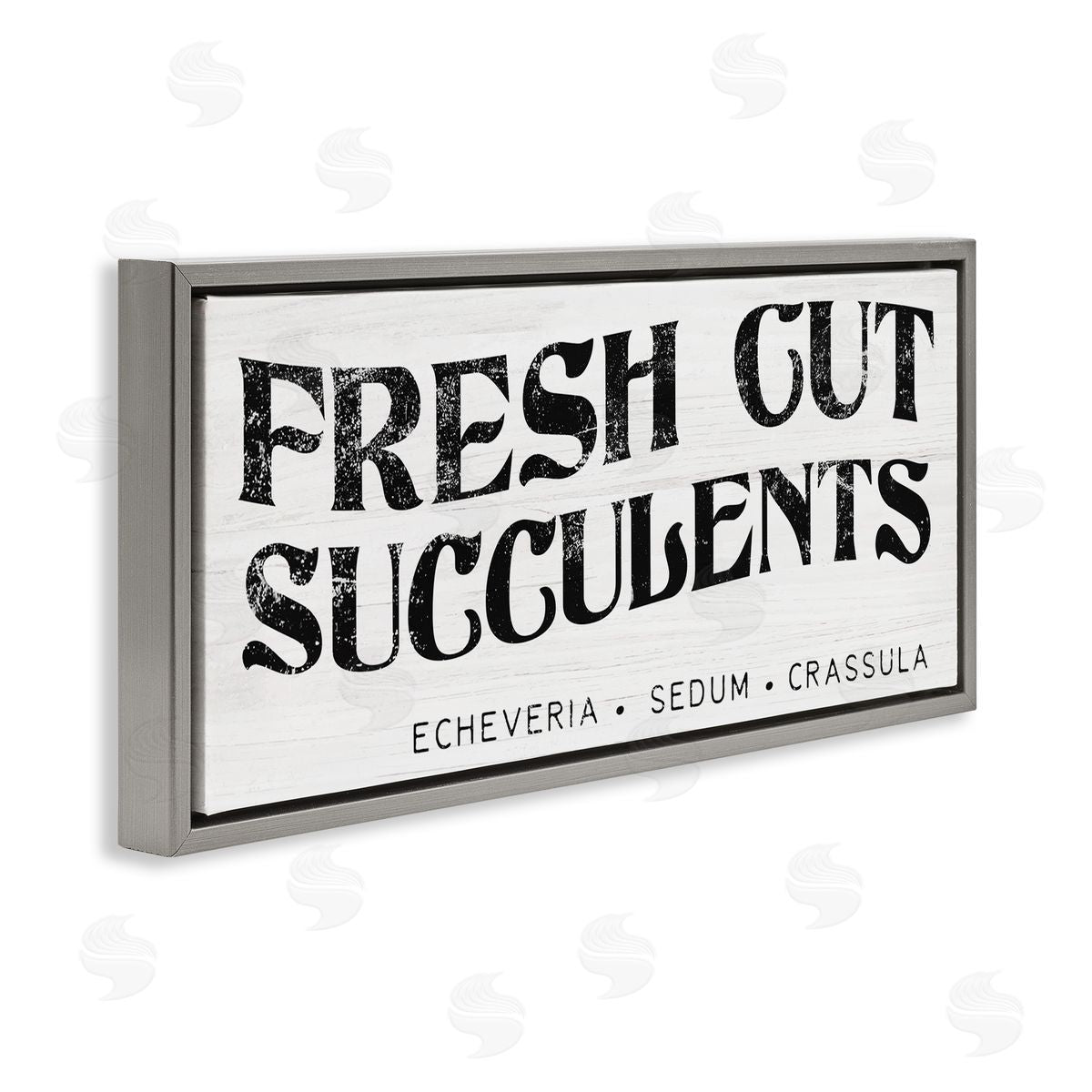 Stupell Studio fr_sideesh Cut Succulents Antique Style Grainy Sign 