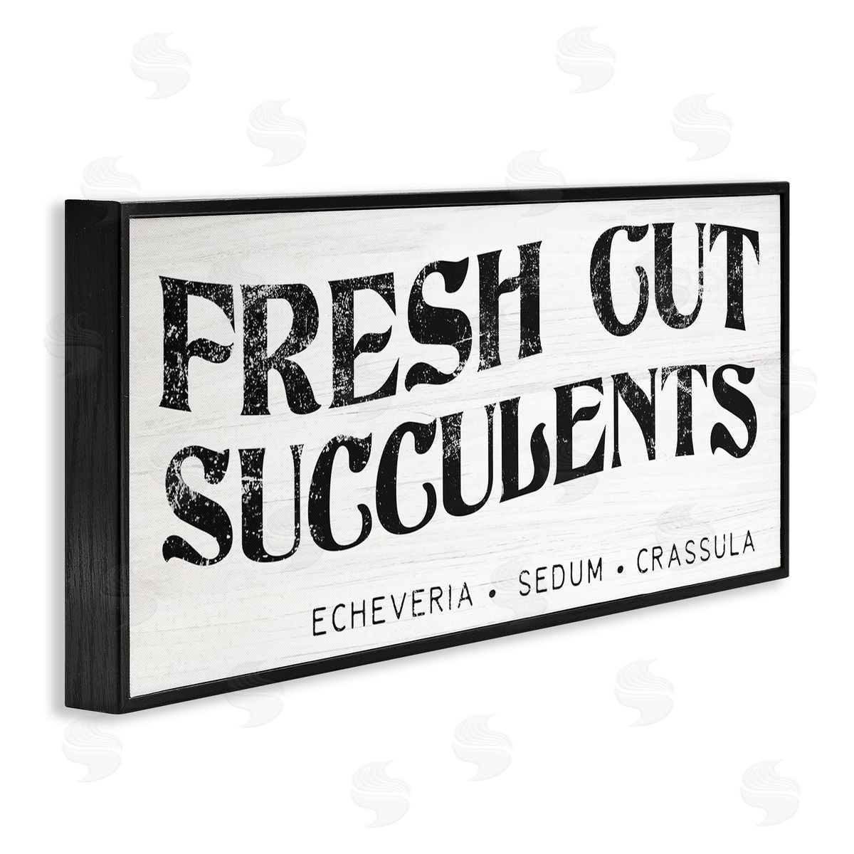 Stupell Studio fr_sideesh Cut Succulents Antique Style Grainy Sign 