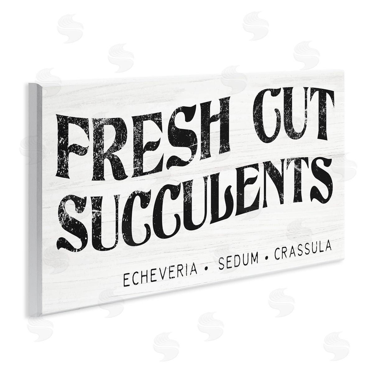 Stupell Studio fr_sideesh Cut Succulents Antique Style Grainy Sign 