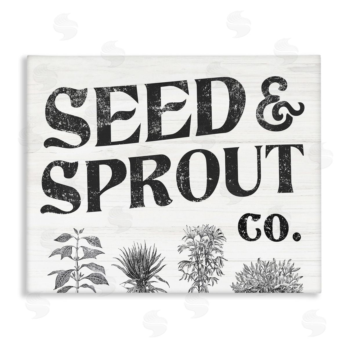 Stupell Studio Seed & Sprout Antique Botanicals Gardening Typography  Stretched Canvas Wall Art Print