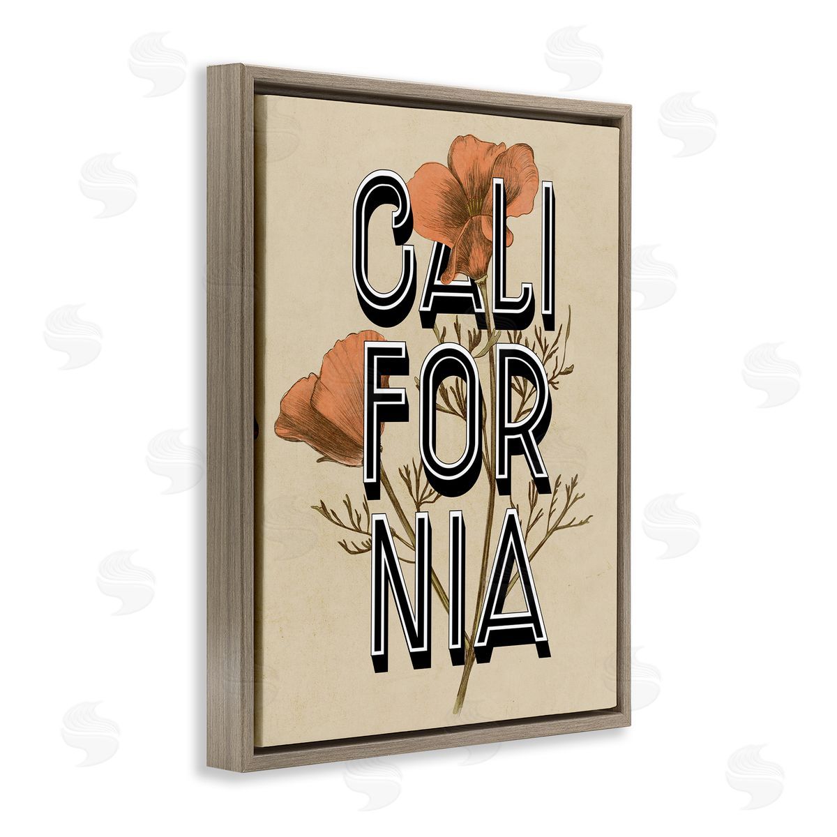 Stupell Studio California State Floral Typography Poppy Sprig Blossom Brown Floating Frame Canvas Wall Art Print