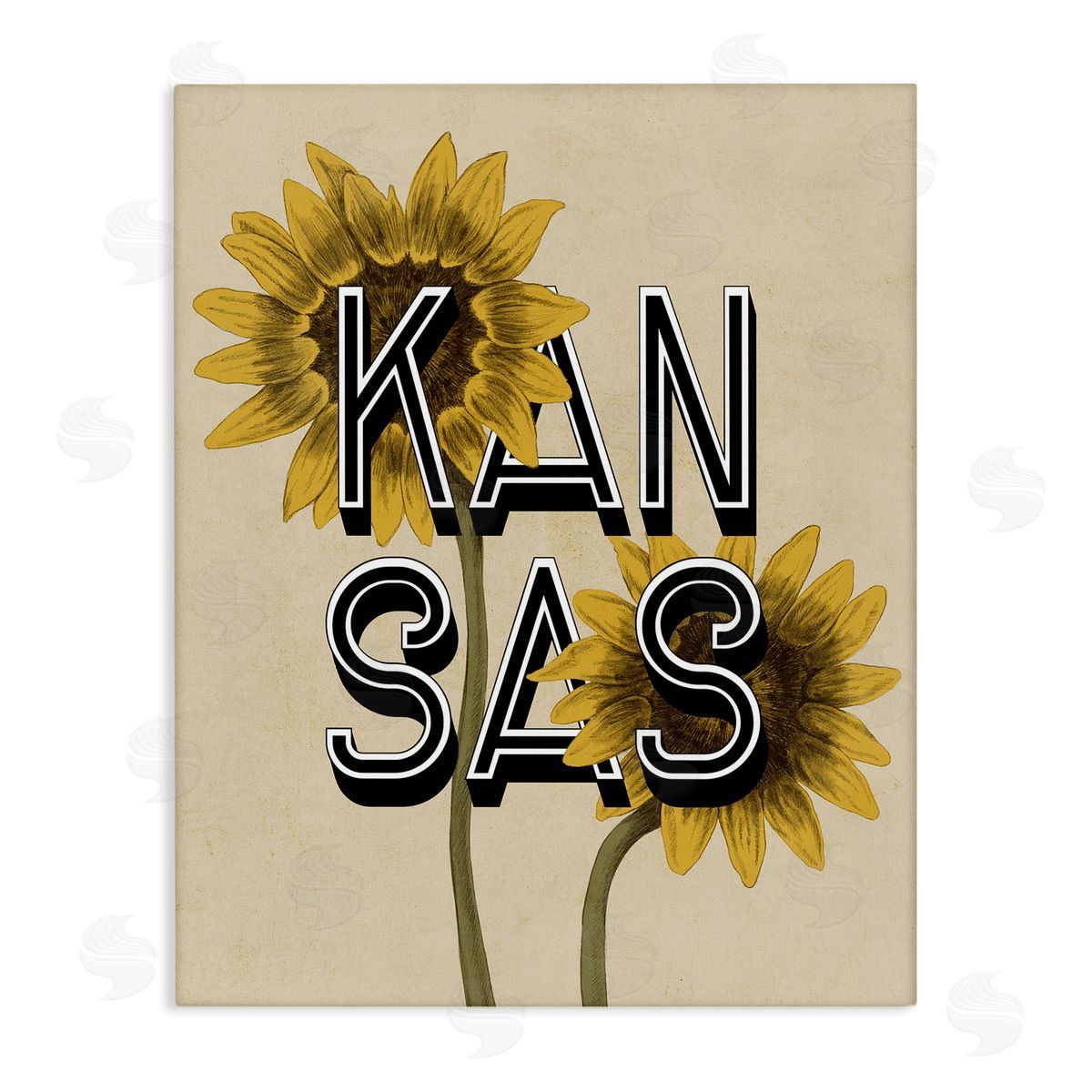 Stupell Studio Kansas Sunflowers Blossoms State Flower Botanicals  Stretched Canvas Wall Art Print