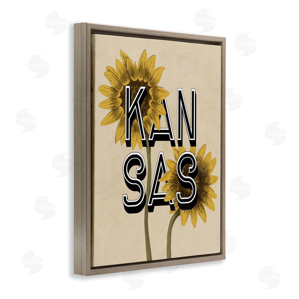 Stupell Studio Kansas Sunflowers Blossoms State Flower Botanicals  Brown Floating Frame Canvas Wall Art Print