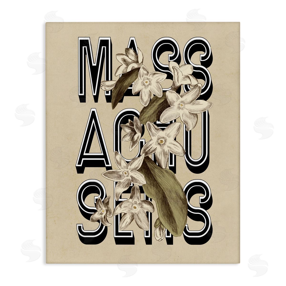 Stupell Studio Massachusetts State Mayflower Blossoms Intertwining Typography  Stretched Canvas Wall Art Print