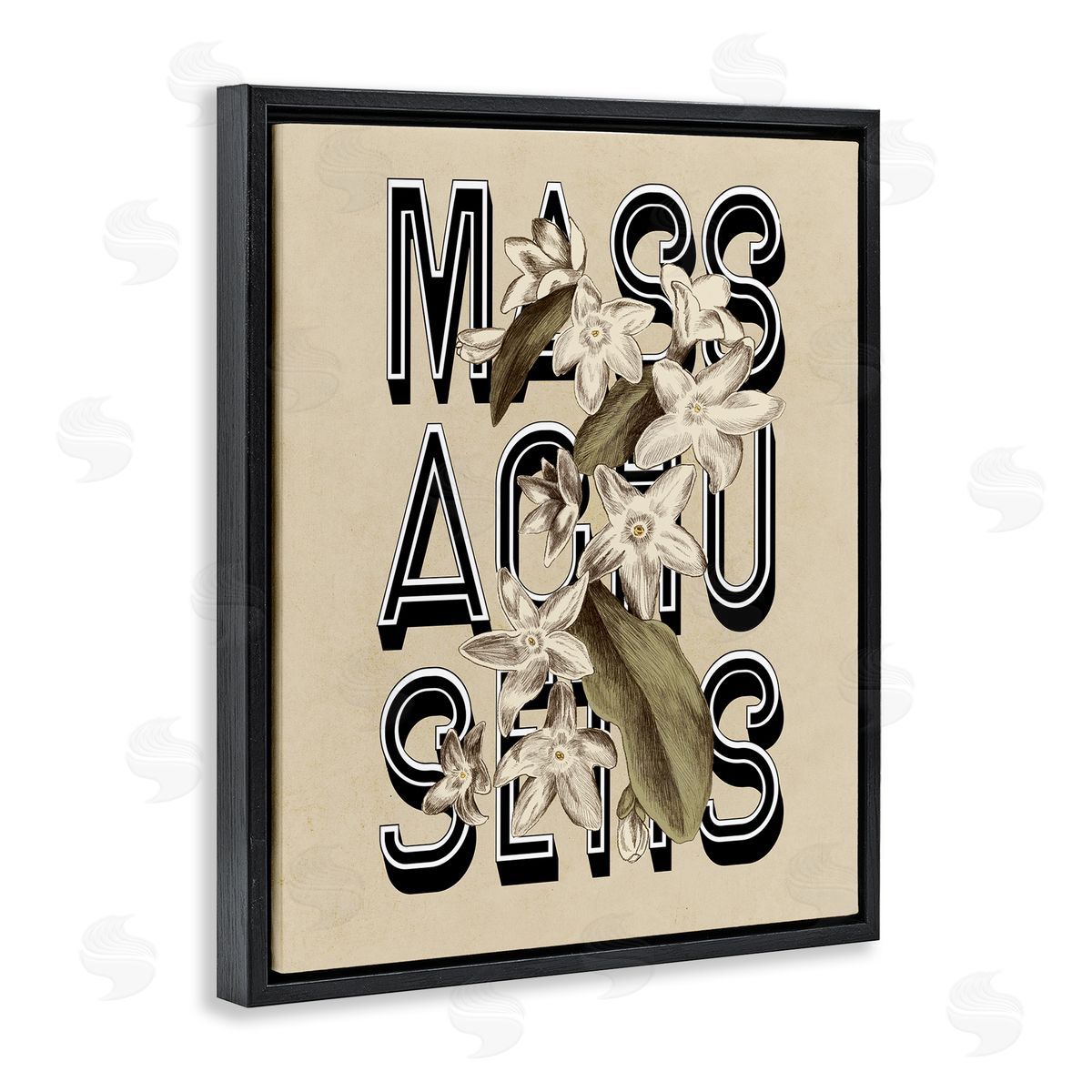 Stupell Studio Massachusetts State Mayflower Blossoms Intertwining Typography  Black Floating Frame Canvas Wall Art Print