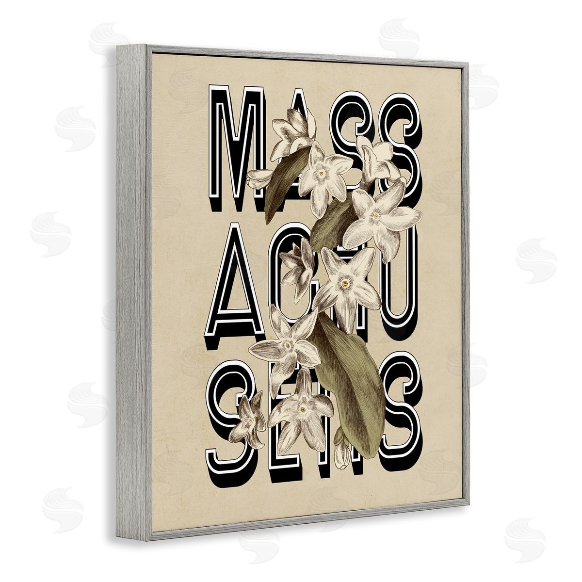 Stupell Studio Massachusetts State Mayflower Blossoms Intertwining Typography  Gray Framed Giclee Wall Art Print