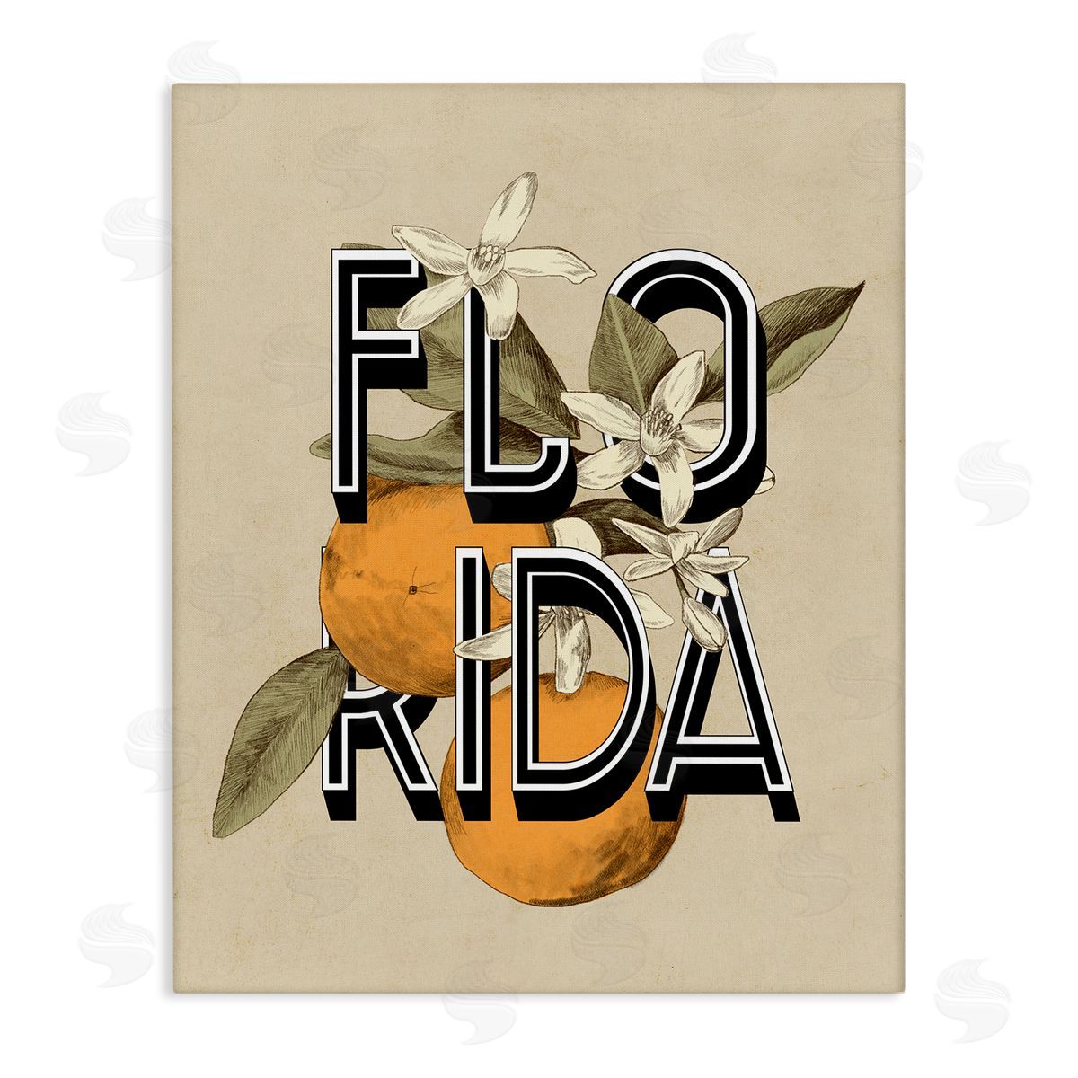 Stupell Studio Florida Orange Blossoms State Flower Typography  Stretched Canvas Wall Art Print