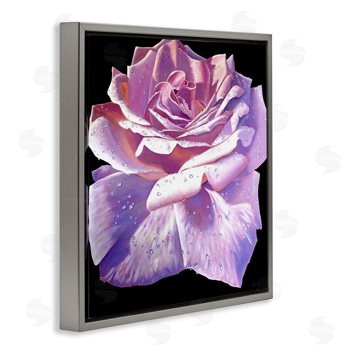 Alan Weston Lush Pink Rose Petals Flower Water Droplets  Gray Floating Frame Canvas Wall Art Print