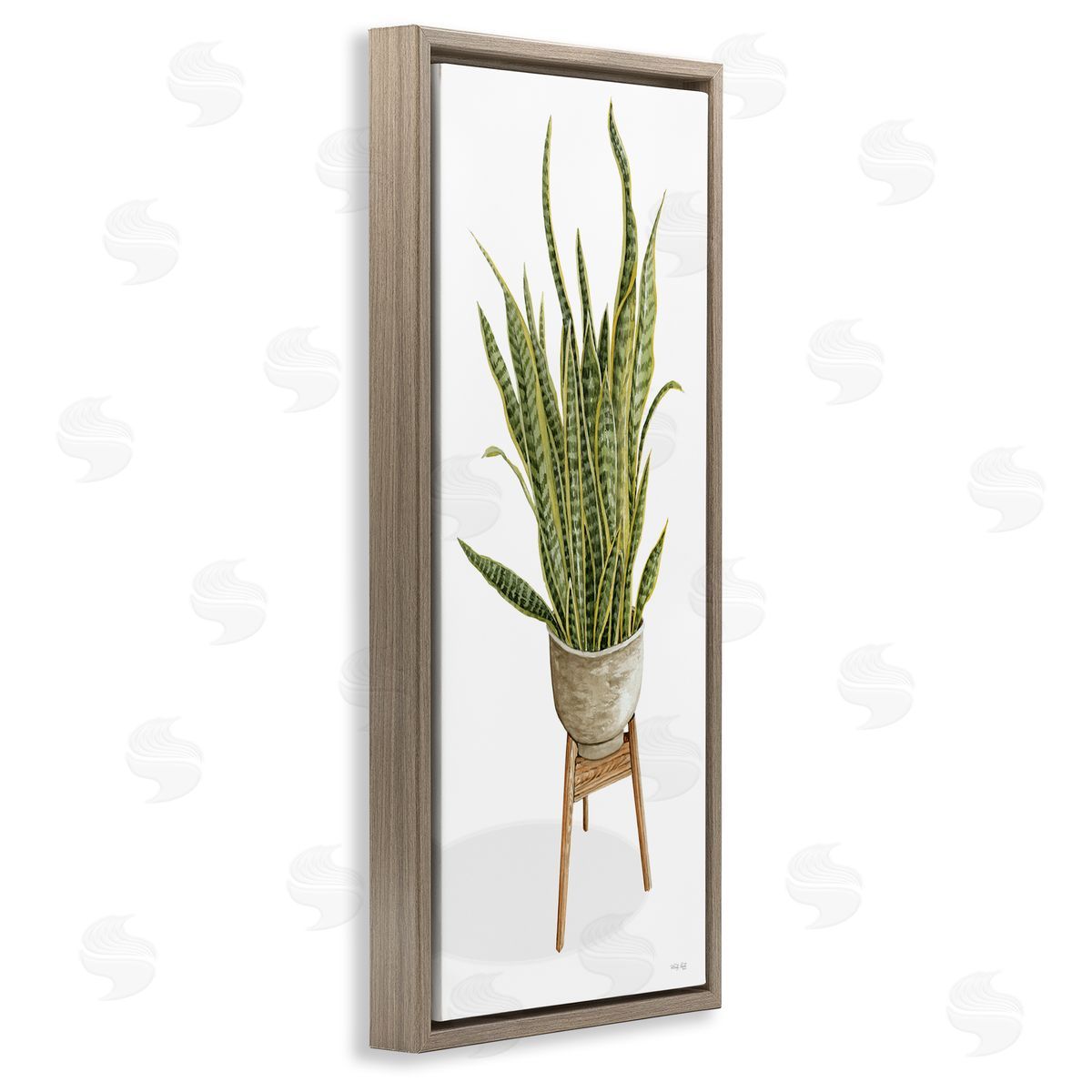 Cindy Jacobs Casual Aloe Plant Towering Green Leaves Planter