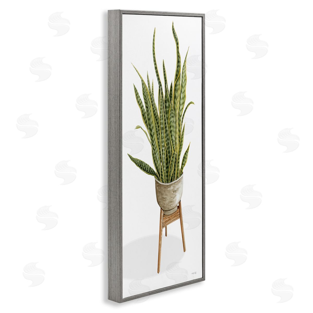 Cindy Jacobs Casual Aloe Plant Towering Green Leaves Planter