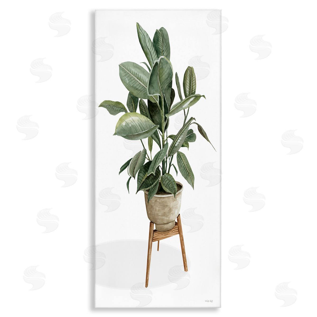 Cindy Jacobs Lush Green Potted House Plant Round Leaves