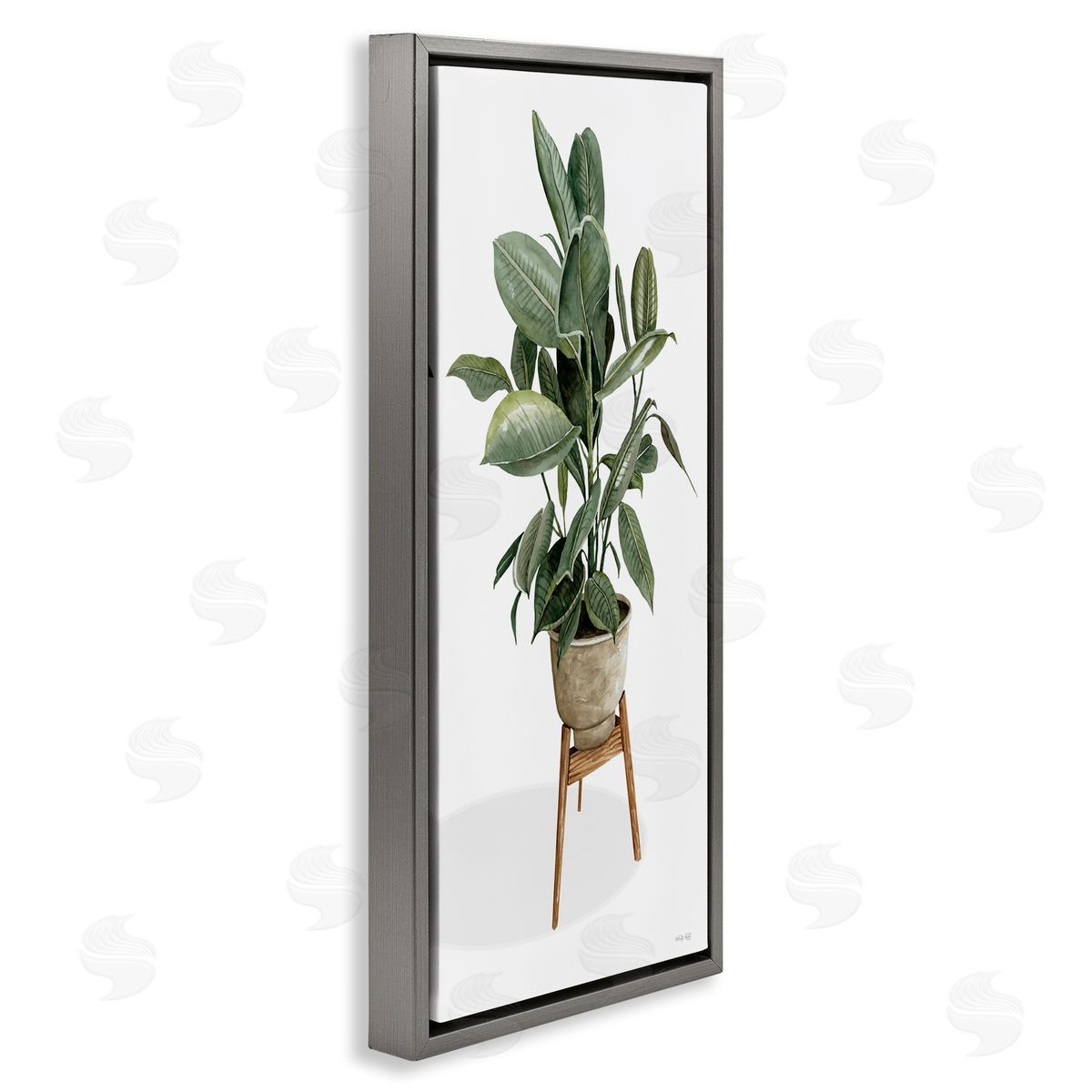 Cindy Jacobs Lush Green Potted House Plant Round Leaves