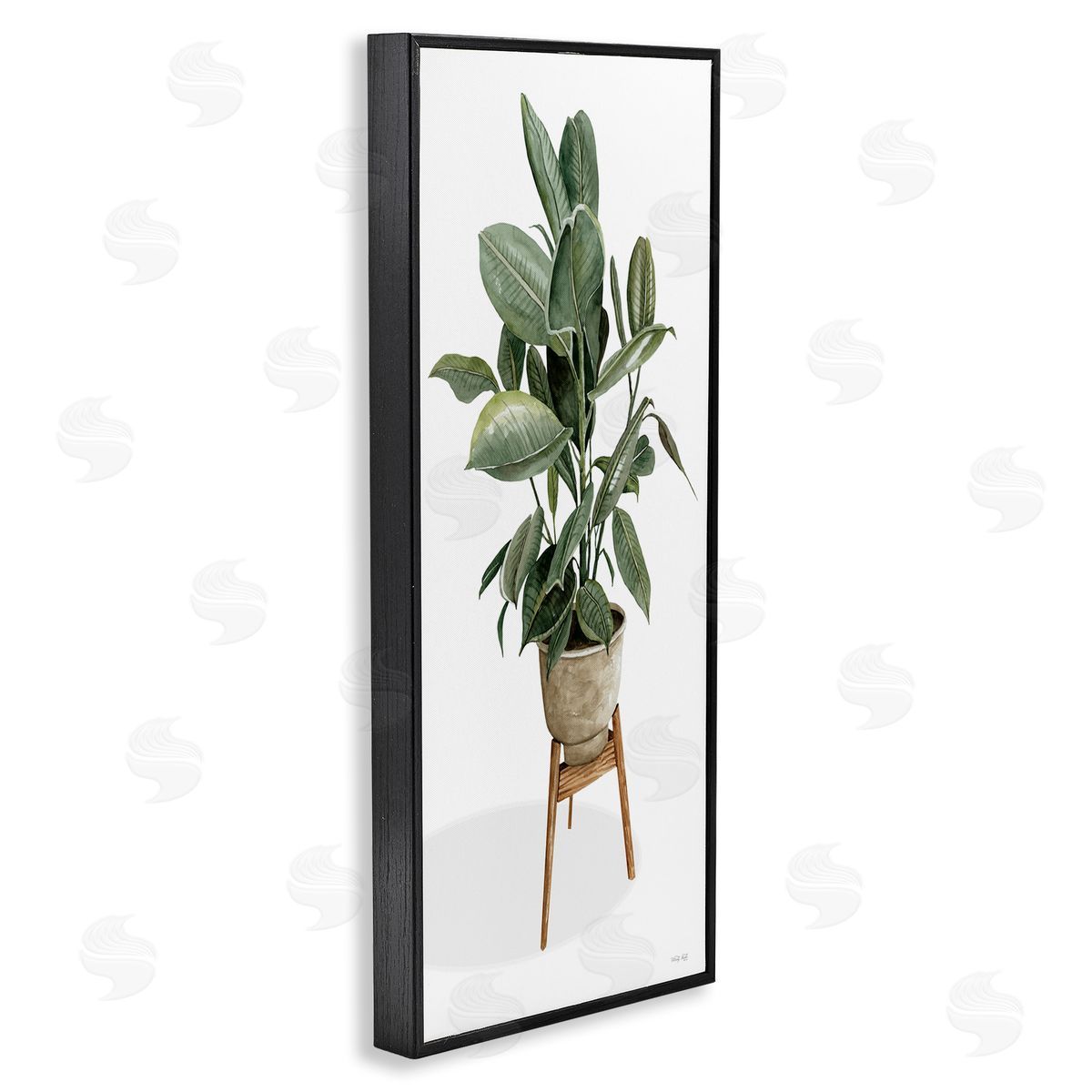 Cindy Jacobs Lush Green Potted House Plant Round Leaves