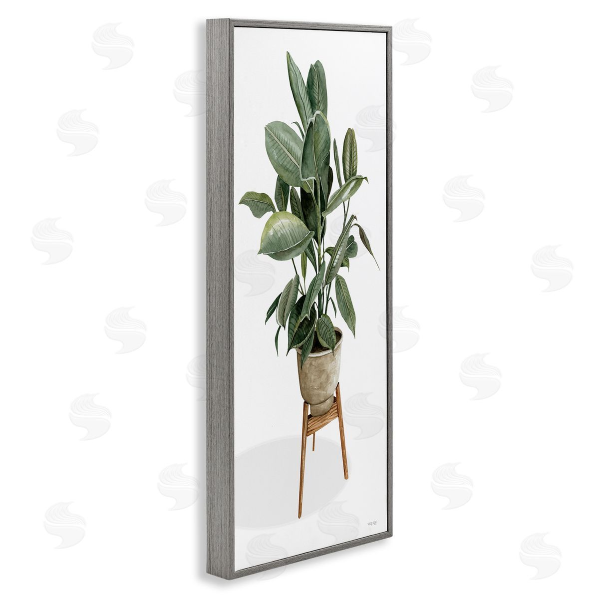 Cindy Jacobs Lush Green Potted House Plant Round Leaves