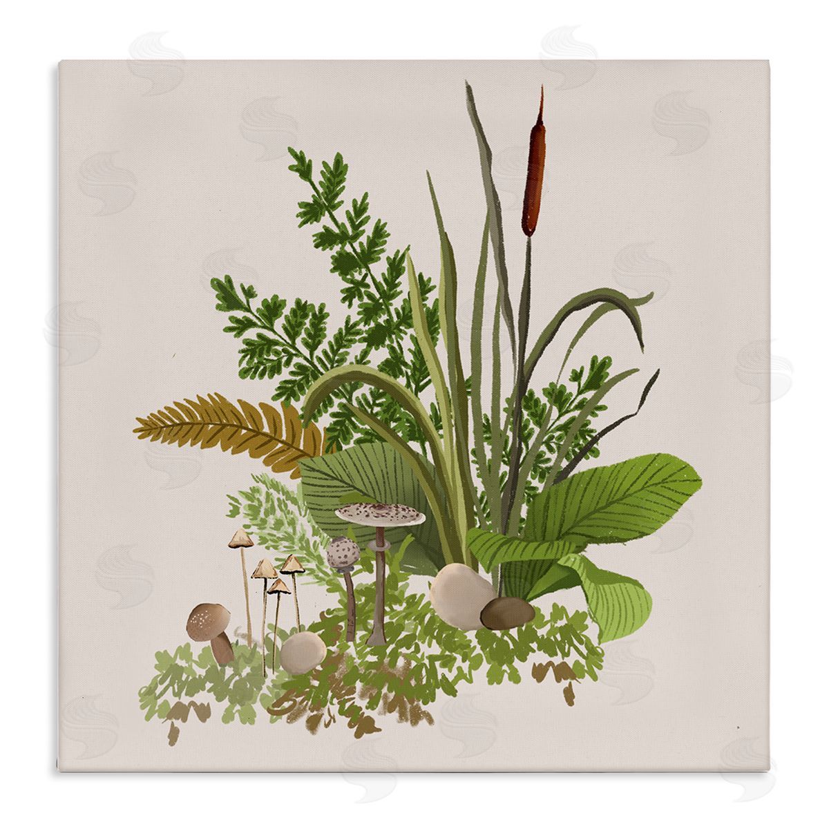 House of Rose Cottage Botanicals Plants Mushrooms Ferns Forest Floor Stretched Canvas Wall Art Print