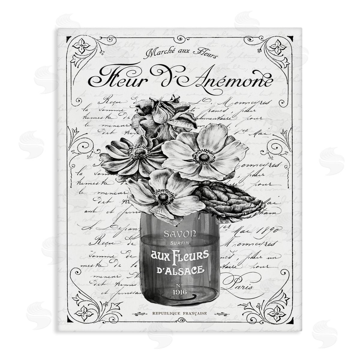 Lettered and Lined Anemone Flower French Text Fancy Floral   Stretched Canvas Wall Art Print