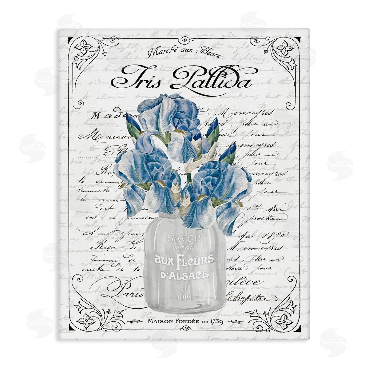 Lettered and Lined Delicate Iris Flower Bouquet Ornate French Script  Stretched Canvas Wall Art Print