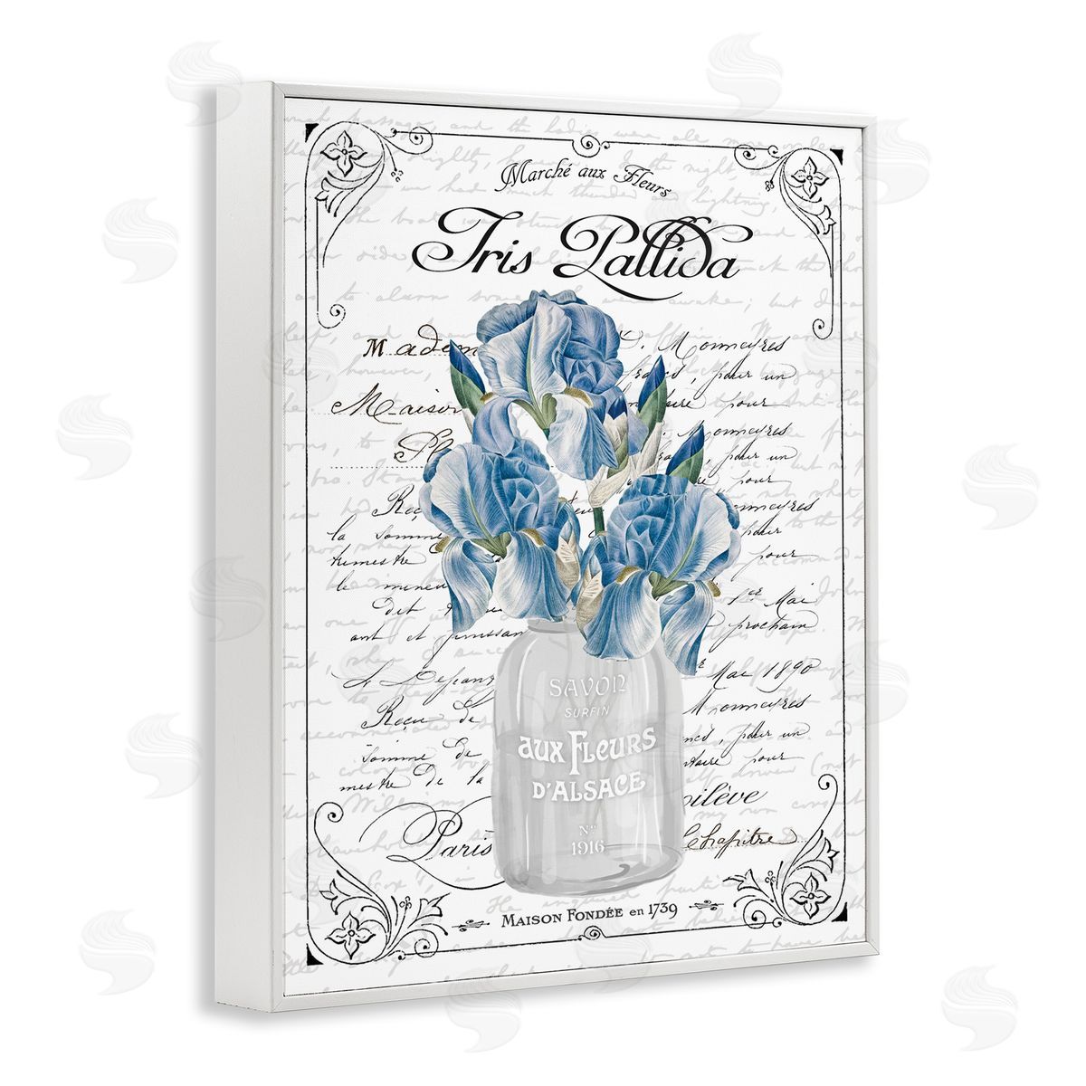 Lettered and Lined Delicate Iris Flower Bouquet Ornate French Script  White Framed Giclee Wall Art Print