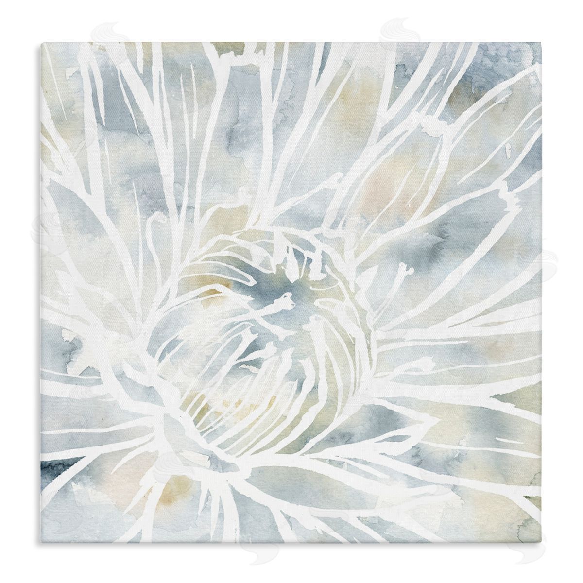 Jackie Decker Flower Petals Stamen Close Up White Outline Stretched Canvas Wall Art Print