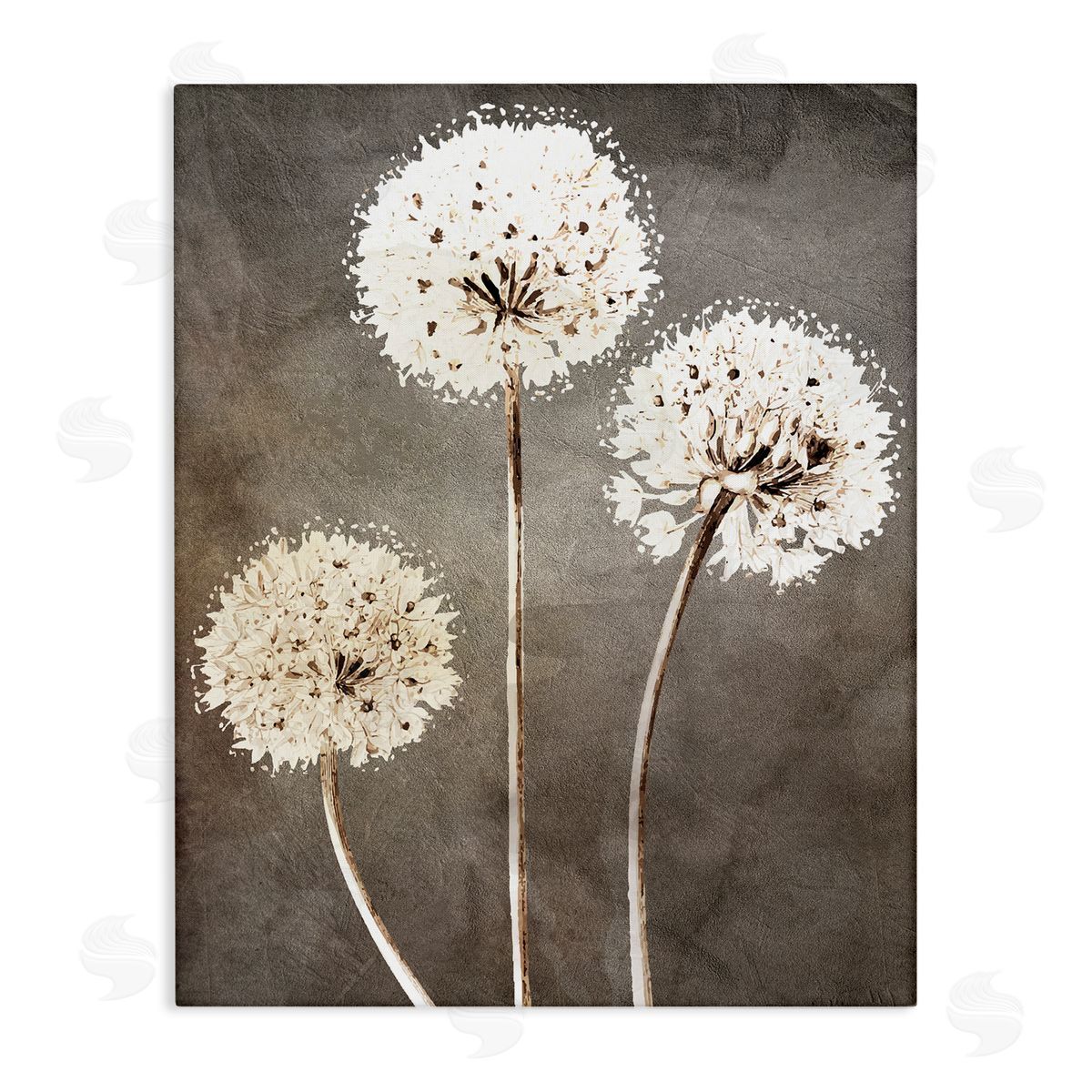 Kim Allen Fluffy Dandelion Plants Wildflower Botanical Blooms  Stretched Canvas Wall Art Print
