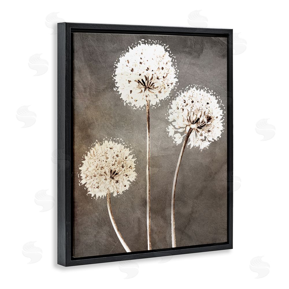 Kim Allen Fluffy Dandelion Plants Wildflower Botanical Blooms  Black Floating Frame Canvas Wall Art Print
