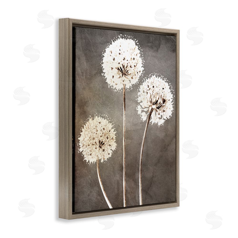Kim Allen Fluffy Dandelion Plants Wildflower Botanical Blooms  Brown Floating Frame Canvas Wall Art Print