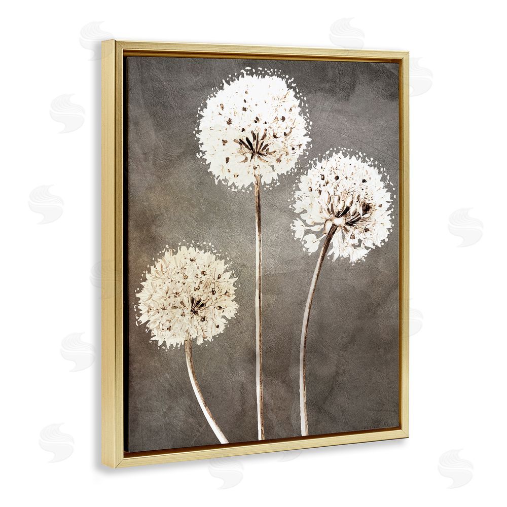 Kim Allen Fluffy Dandelion Plants Wildflower Botanical Blooms  Gold Floating Frame Canvas Wall Art Print