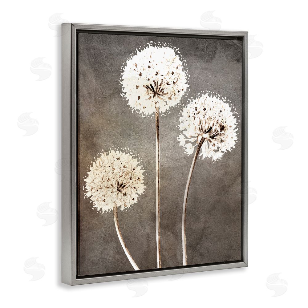 Kim Allen Fluffy Dandelion Plants Wildflower Botanical Blooms  Gray Floating Frame Canvas Wall Art Print