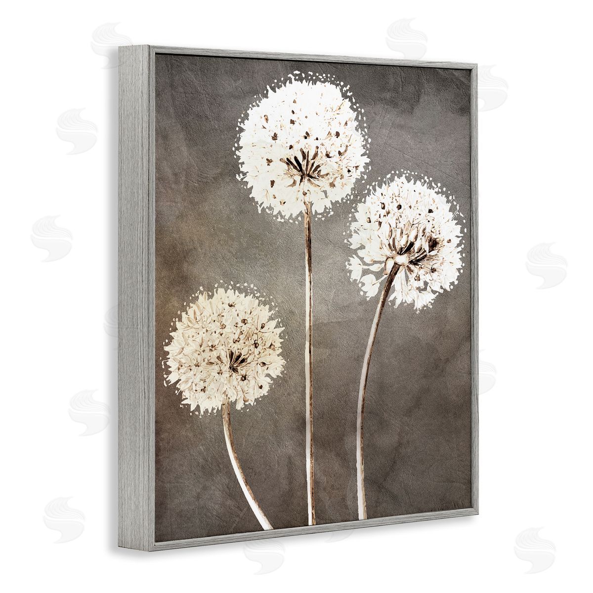 Kim Allen Fluffy Dandelion Plants Wildflower Botanical Blooms  Gray Framed Giclee Wall Art Print