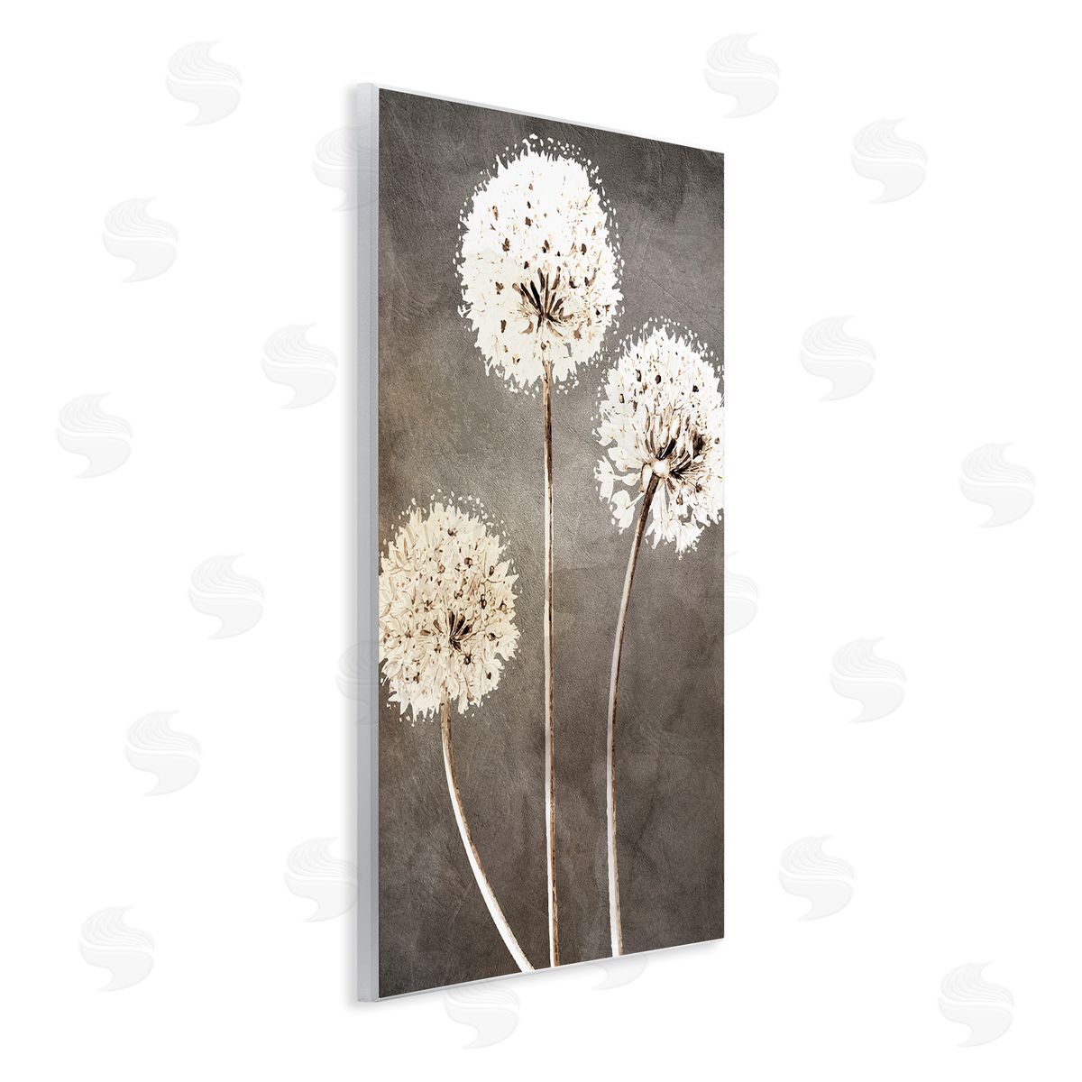 Kim Allen Fluffy Dandelion Plants Wildflower Botanical Blooms  Wall Plaque Art Print