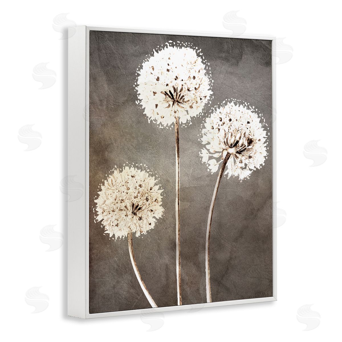 Kim Allen Fluffy Dandelion Plants Wildflower Botanical Blooms  White Framed Giclee Wall Art Print