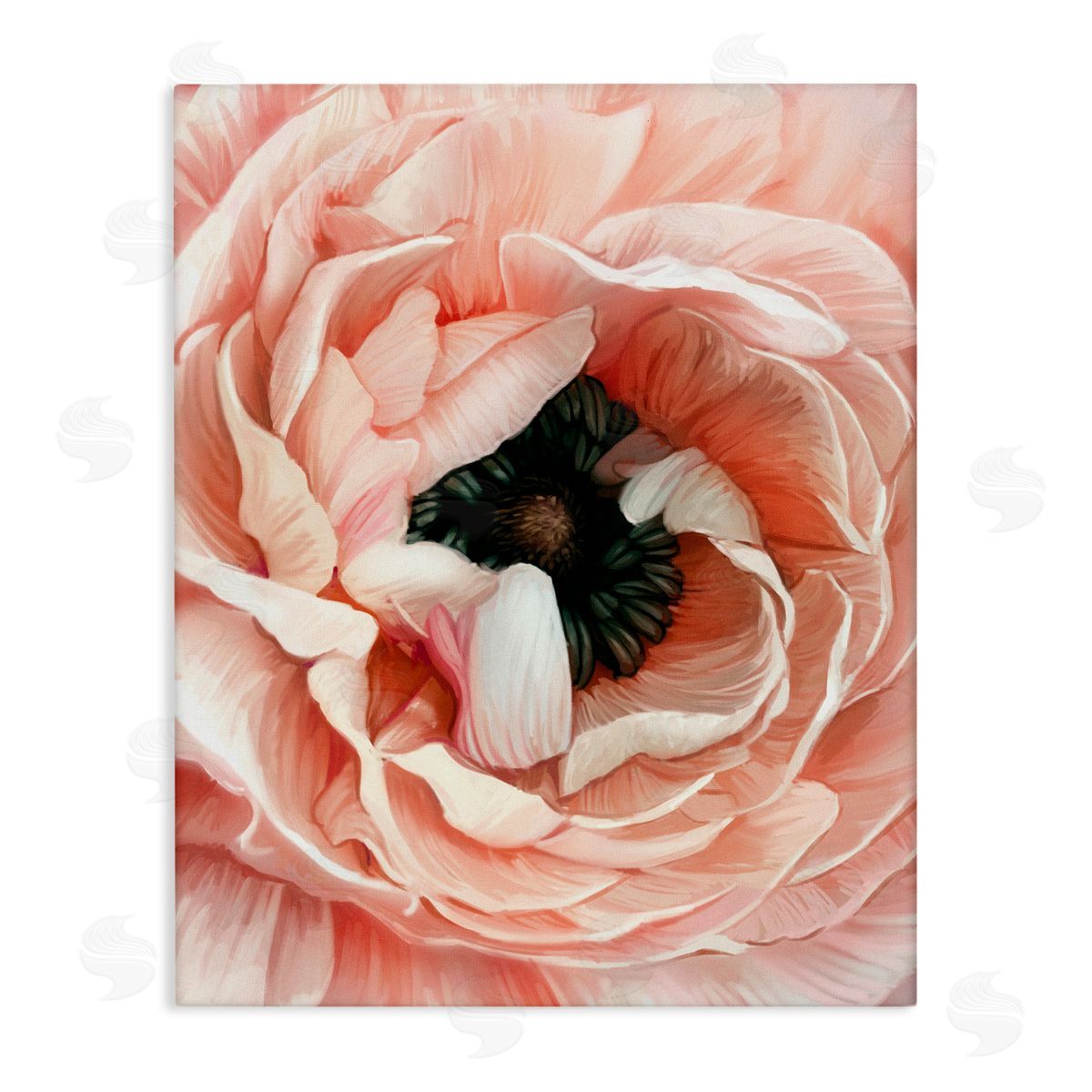 Ziwei Li Up Close Pink Peony Intricate Sunlit Petals Stretched Canvas Wall Art Print