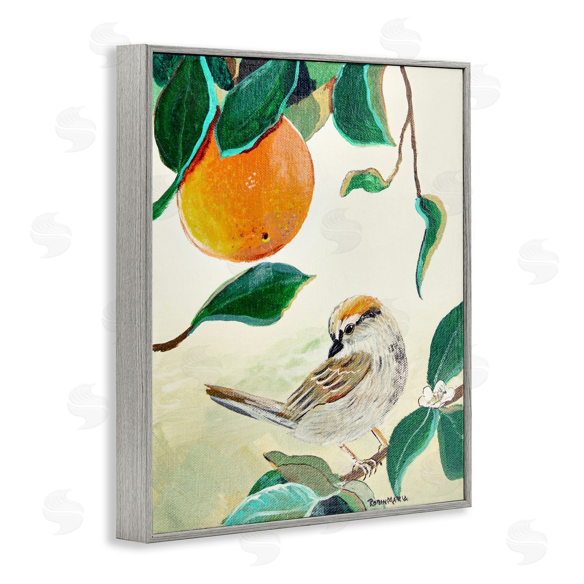 Robin Maria Bird Perched Orange Fruit Tree Branch Leaves Gray Framed Giclee Wall Art Print