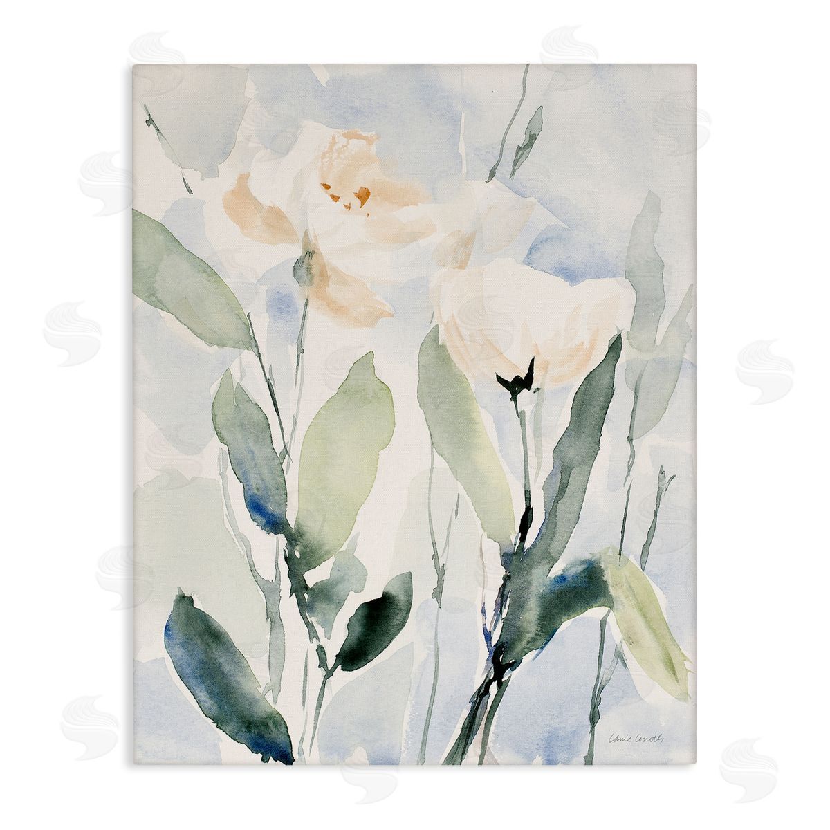 Lanie Loreth Traditional White Flower Blossoms Watercolor Detail  Stretched Canvas Wall Art Print