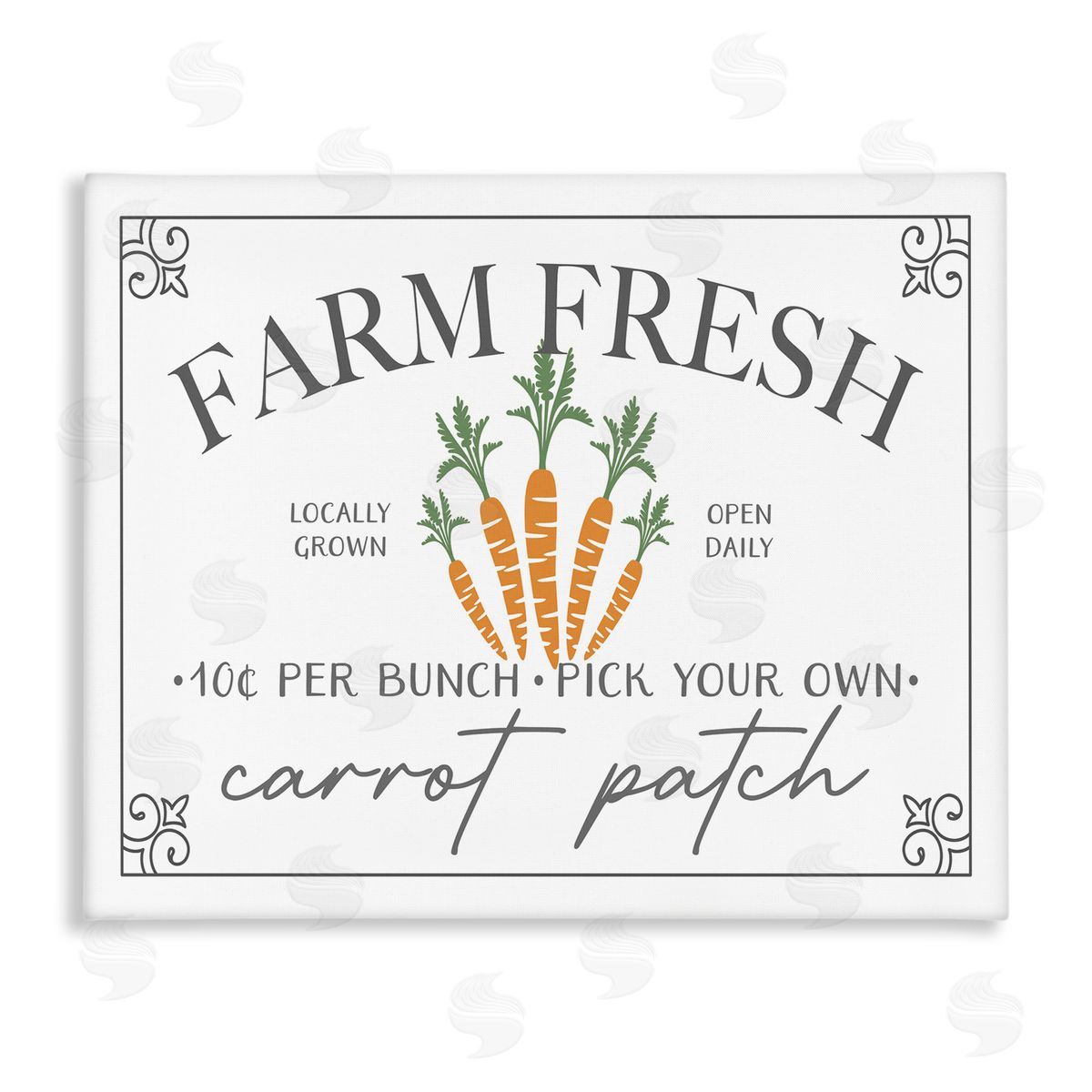 JJ House LLC Farm Fresh Carrot Patch Seasonal Springtime Vegetables Stretched Canvas Wall Art Print