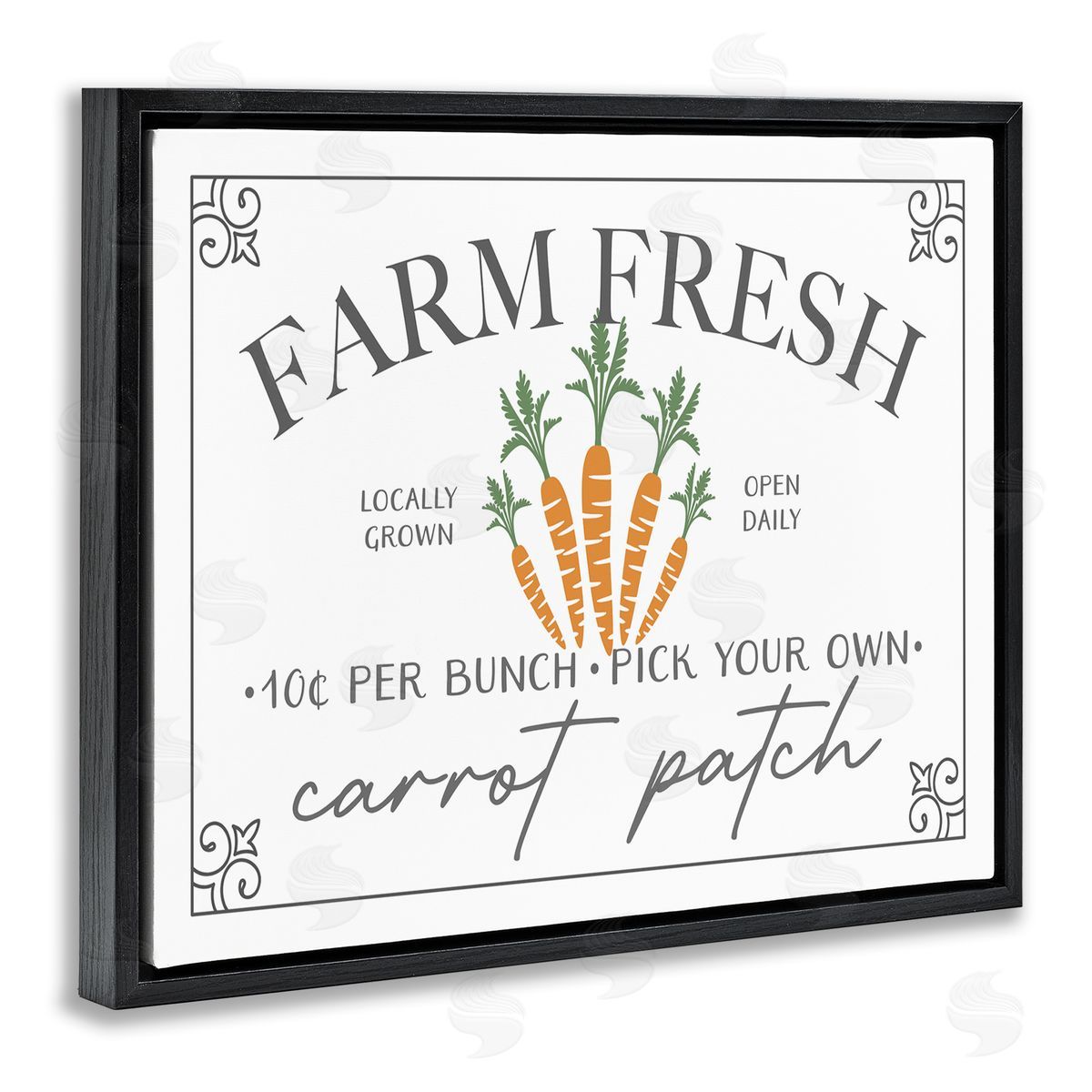 JJ House LLC Farm Fresh Carrot Patch Seasonal Springtime Vegetables Black Floating Frame Canvas Wall Art Print