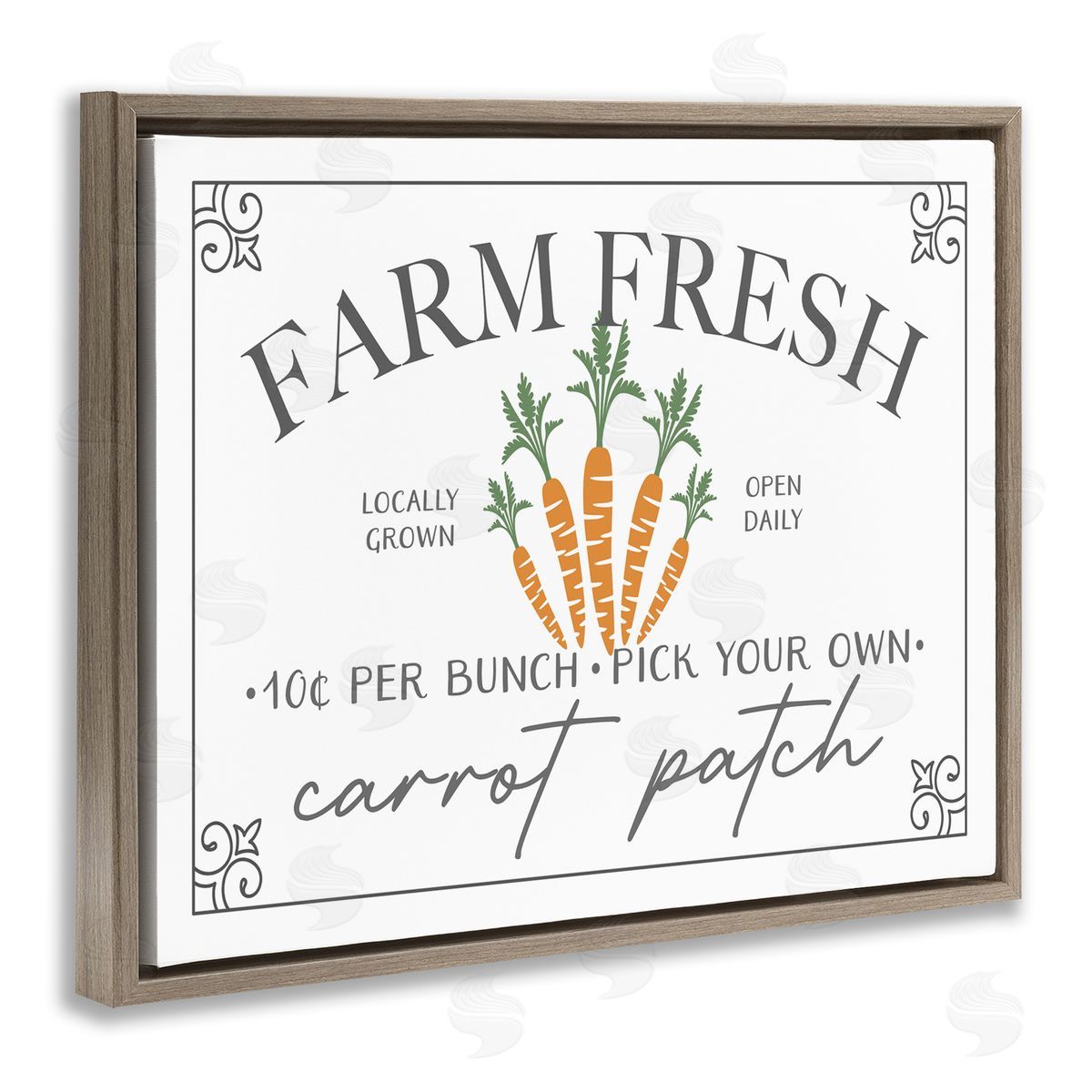 JJ House LLC Farm Fresh Carrot Patch Seasonal Springtime Vegetables Brown Floating Frame Canvas Wall Art Print